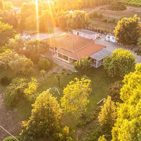 The Vineyards Bed & Breakfast Alghero Exterior foto