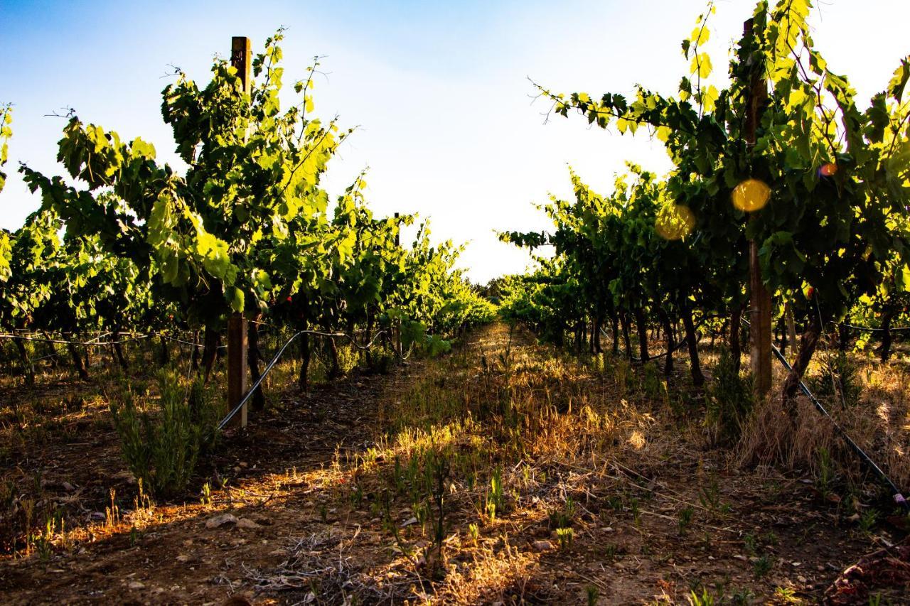 The Vineyards Bed & Breakfast Alghero Exterior foto