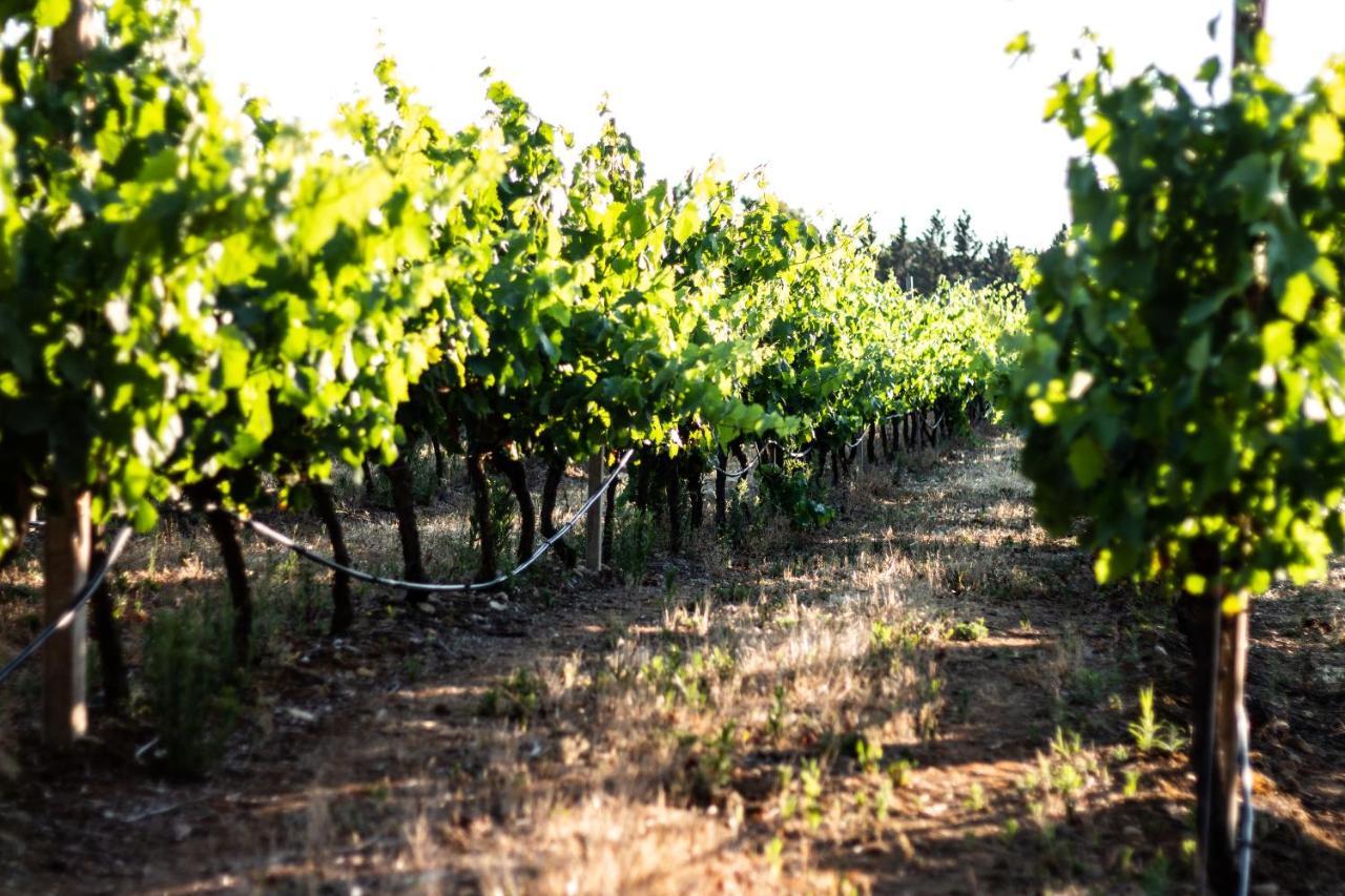 The Vineyards Bed & Breakfast Alghero Exterior foto