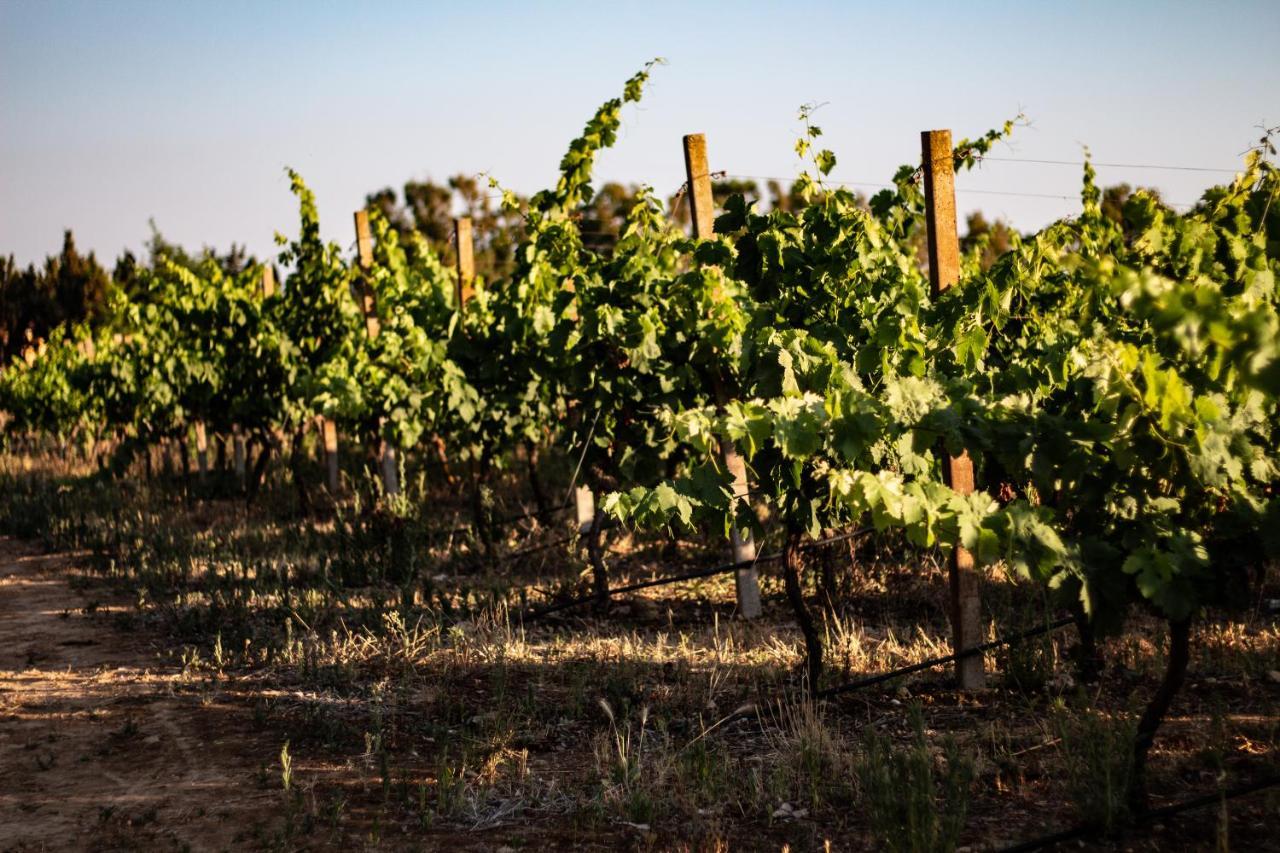 The Vineyards Bed & Breakfast Alghero Exterior foto
