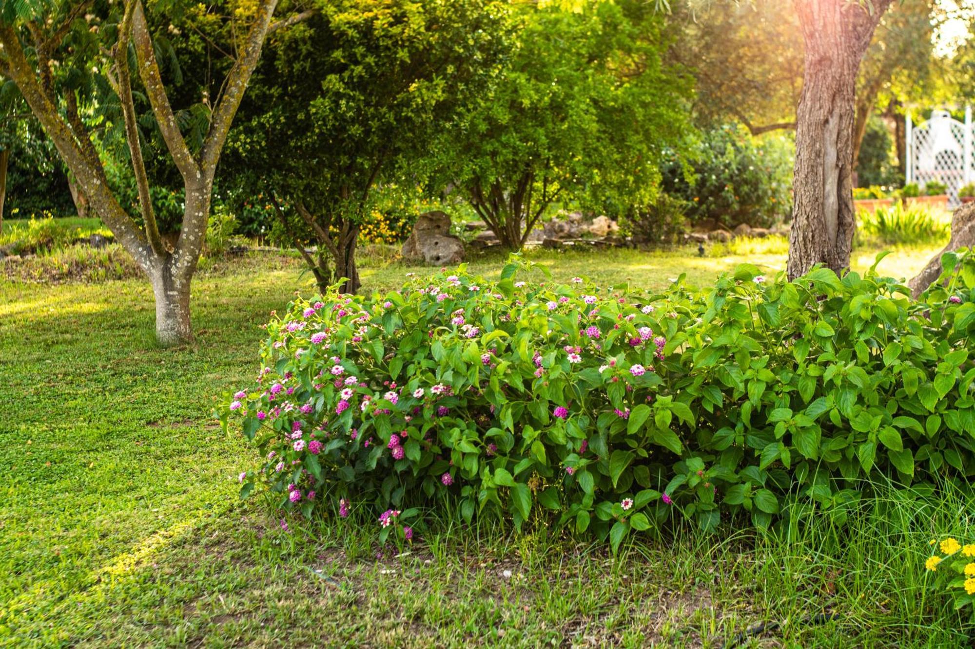 The Vineyards Bed & Breakfast Alghero Exterior foto